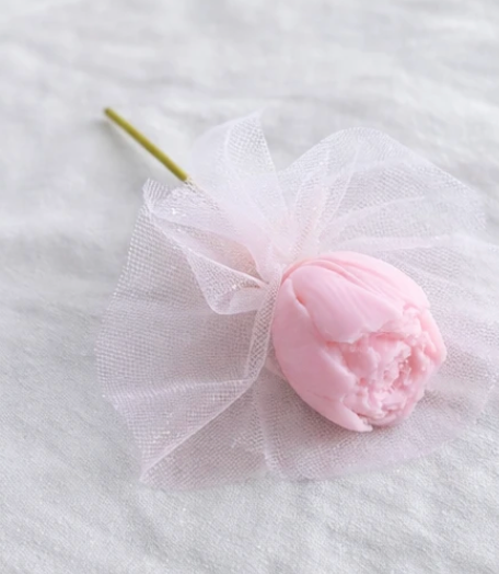 Bouton de Cire - Pomme d'Amour